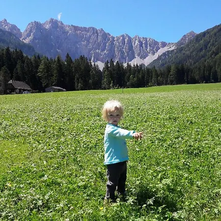 아파트 Vertatschablick 펠레크